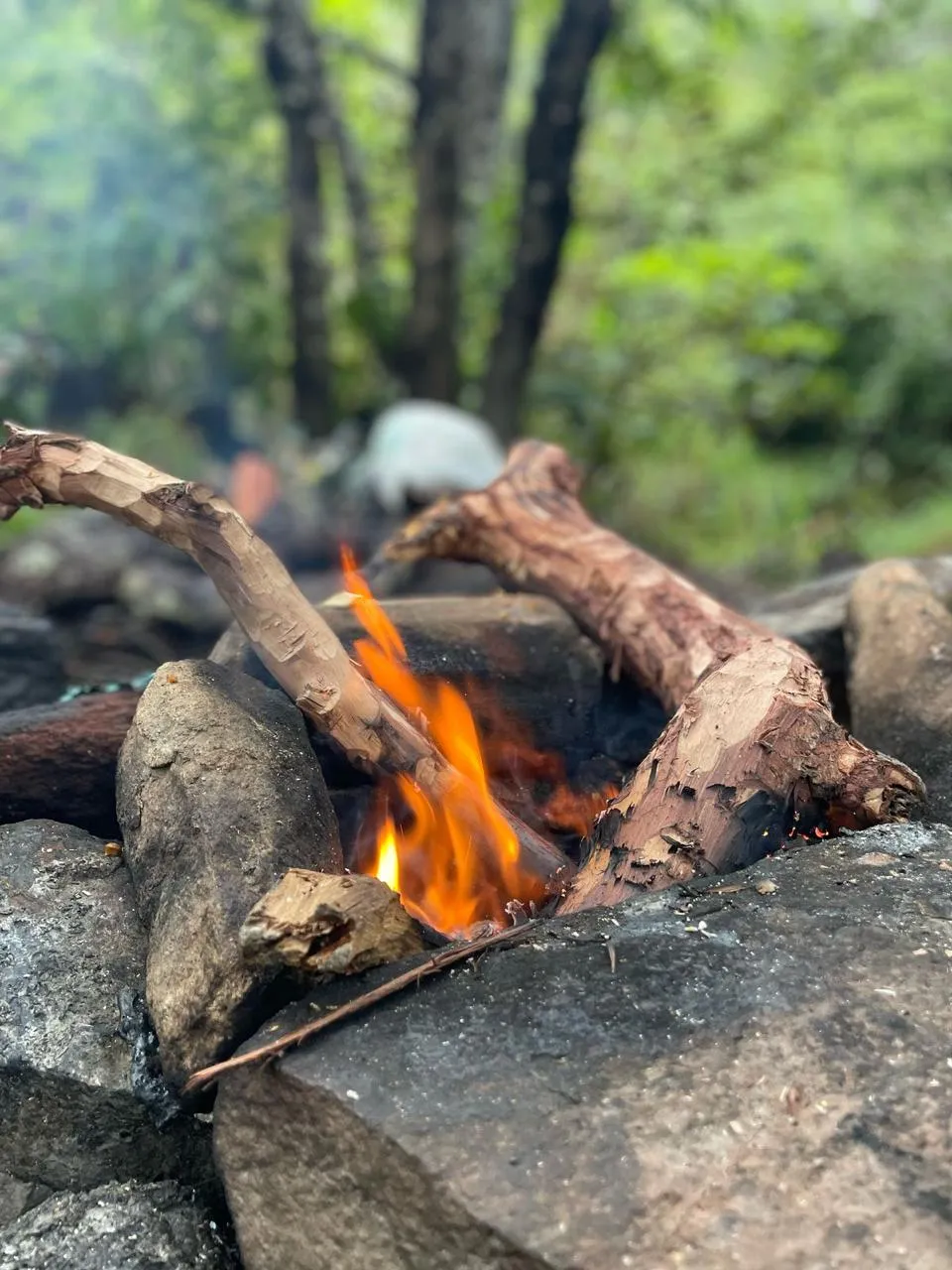 WhatsApp Image 2025-09-22 at 09.42.57 (4)_11zon